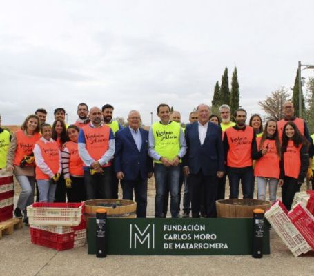 Vendimia solidaria